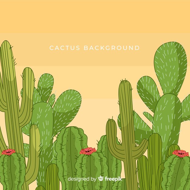 Fondo de cactus dibujado a mano