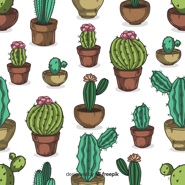 Vector gratuito fondo cactus de formas diferentes dibujados a mano