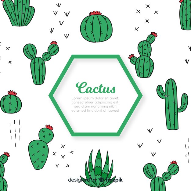 Fondo cactus hexágono