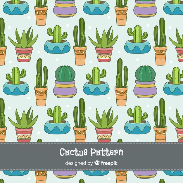 Fondo cactus en macetas