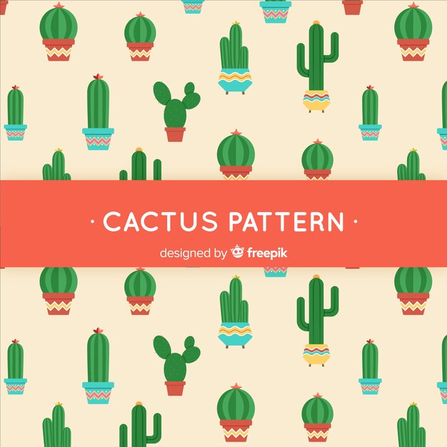 Fondo cactus plano