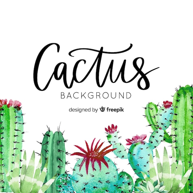 Fondo de cactus