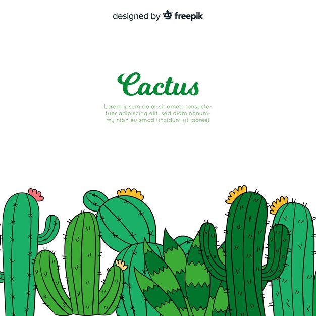 Fondo de cactus