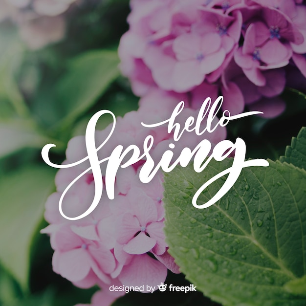 Fondo caligráfico de hello spring con fotografía