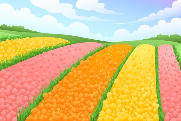 Fondo de campo de flores en gradiente