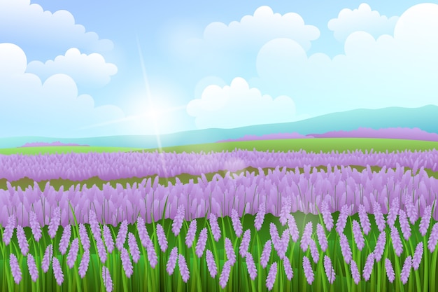 Fondo de campo de flores en gradiente