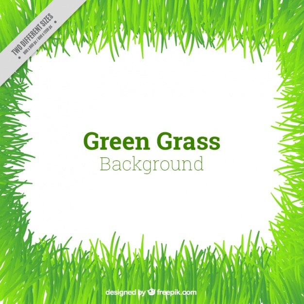 Fondo de césped verde bonito 