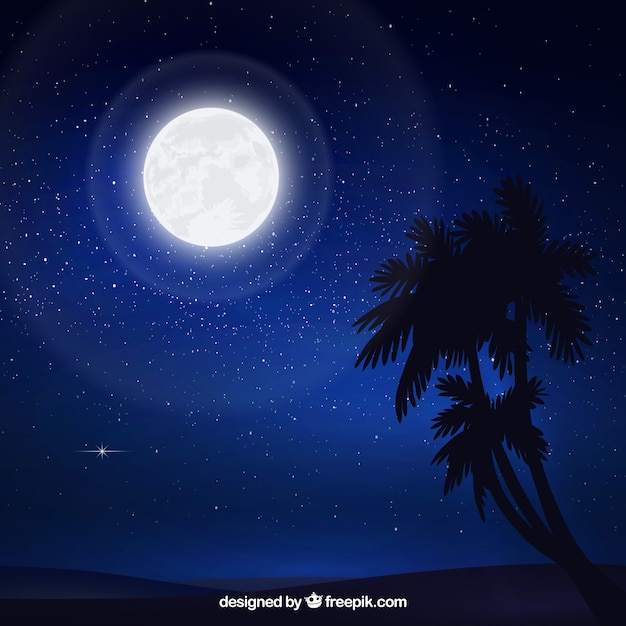 Fondo de cielo estrellado con luna y palmeras