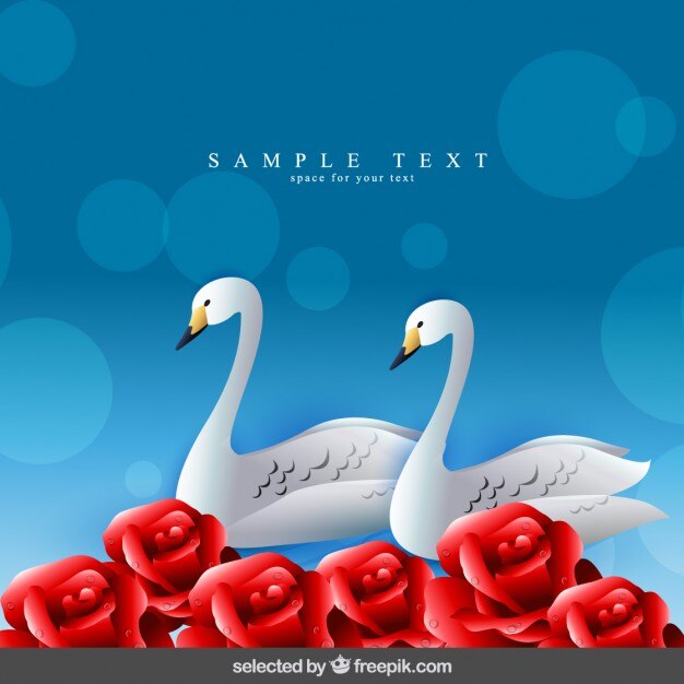 Fondo con los cisnes y rosas