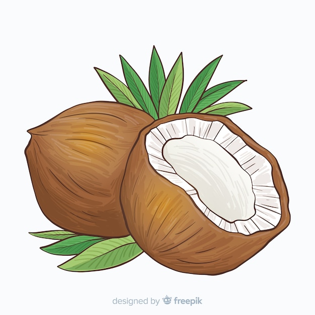 Fondo coco dibujado a mano