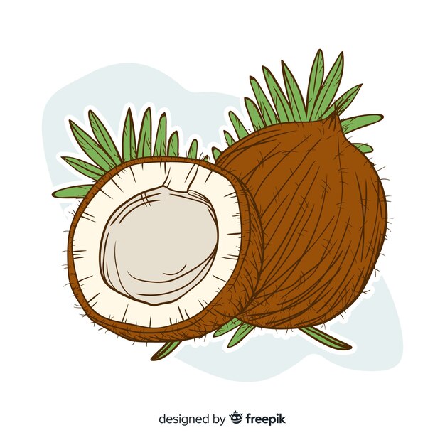 Fondo coco dibujado a mano