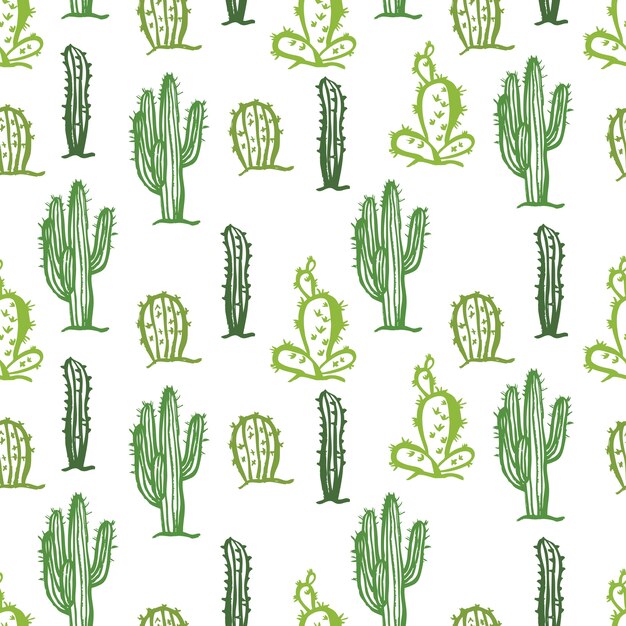 Fondo de color transparente de cactus