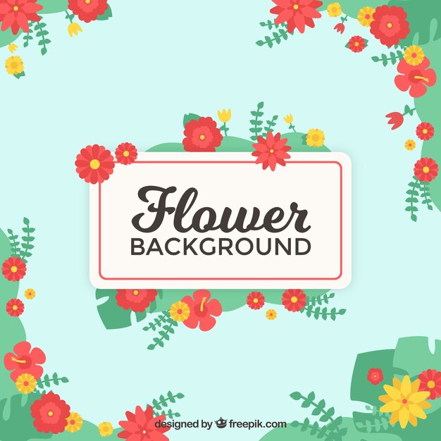 Fondo colorido con flores bonitas