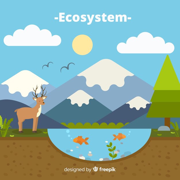Fondo concepto ecosistema