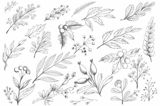 Fondo de conjunto de bosquejo de hoja de elementos de navidad decorativos hermosos