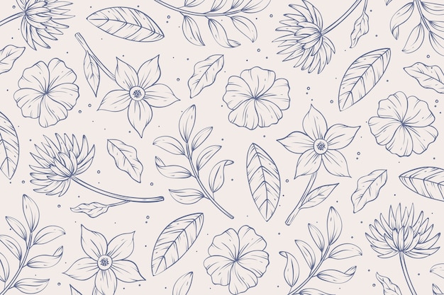 Fondo de contorno floral dibujado a mano