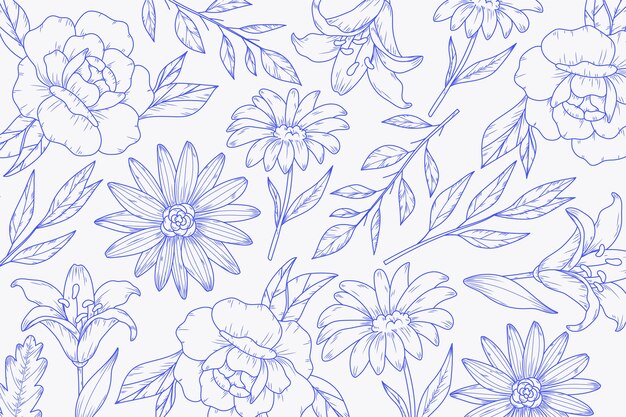 Fondo de contorno floral dibujado a mano