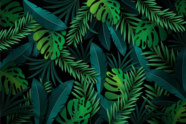Fondo creativo de hojas tropicales