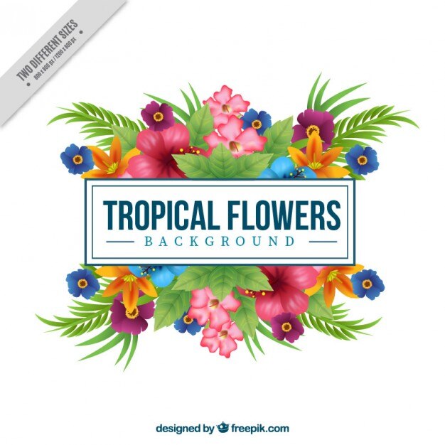 Fondo de decoración de flores de colores