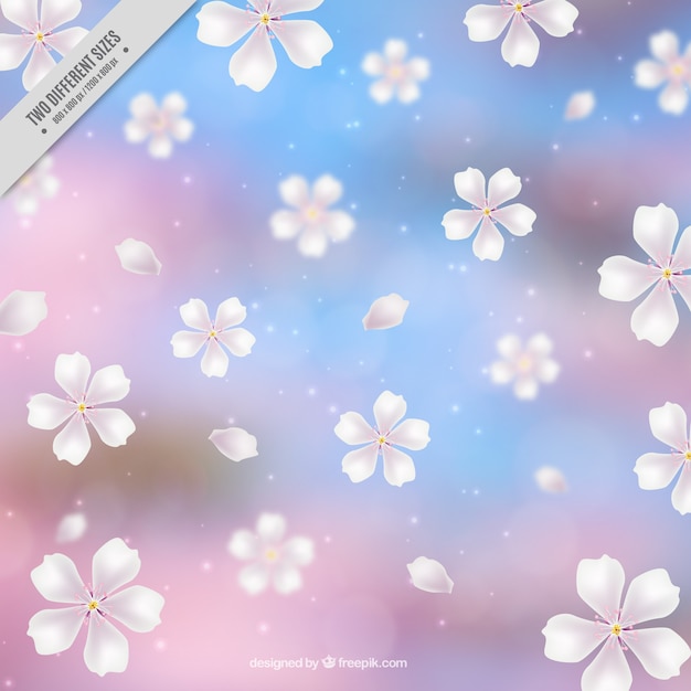 Fondo desenfocado con flores de cerezo