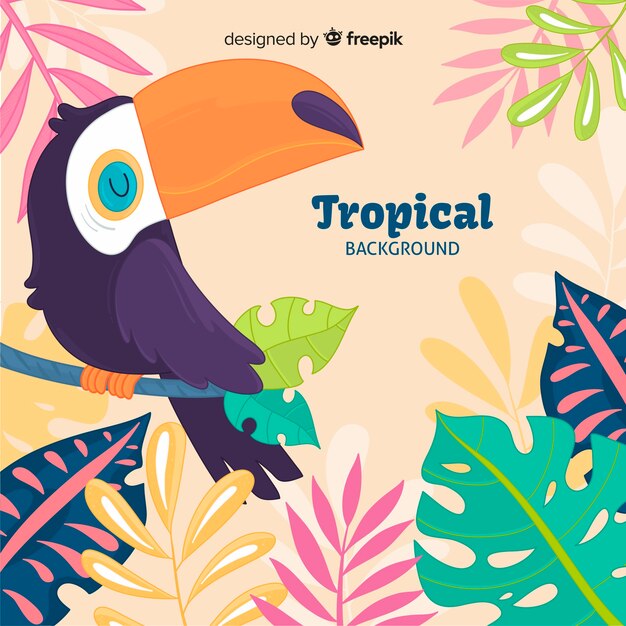 Fondo dibujado a mano plantas tropicales y pájaro