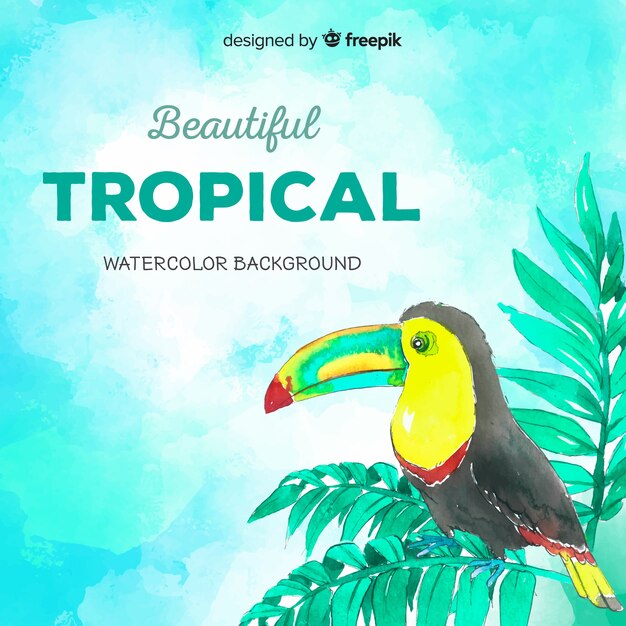Fondo dibujado a mano plantas tropicales y pájaro