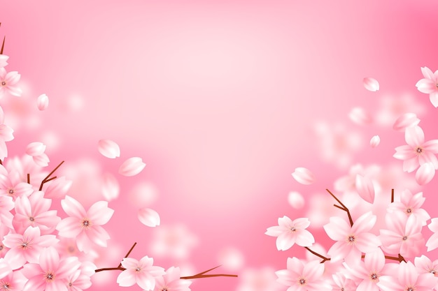 Vector gratuito fondo de espacio de copia de flor de sakura degradado