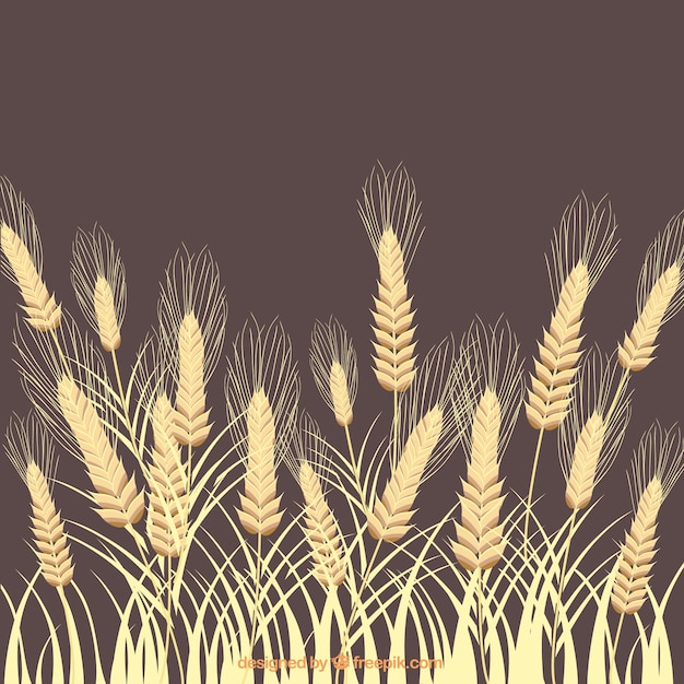 Fondo de espigas de trigo