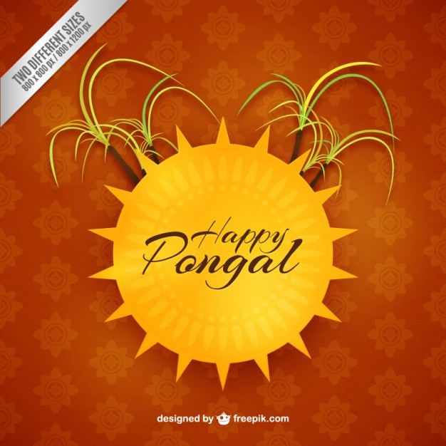 Vector gratuito fondo de feliz pongal con un sol