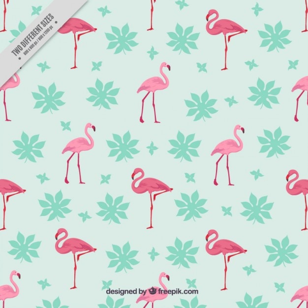 Fondo de flamencos dibujados a mano con hojas 