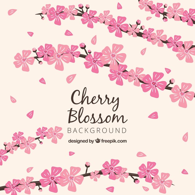 Fondo de flor de cerezo en diseño plano