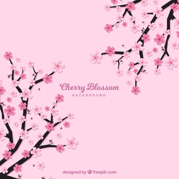 El fondo de la flor de cerezo rosa