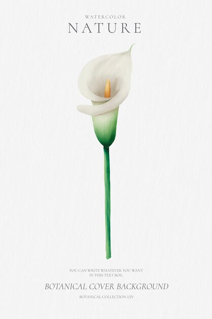 Fondo floral con ilustración botánica