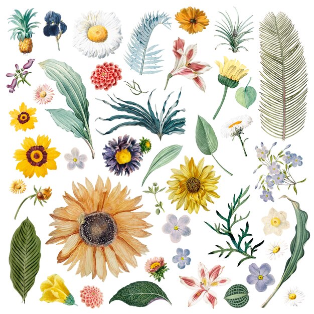 Fondo floral del modelo