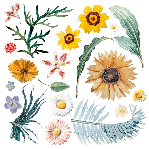 Fondo floral del modelo