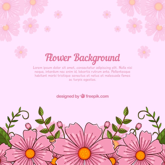 Vector gratuito fondo floral rosa