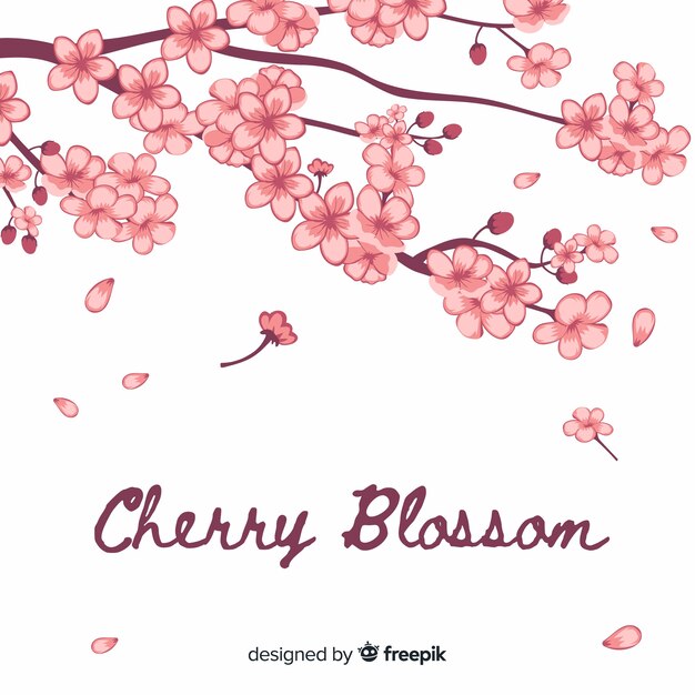 Fondo de flores de cerezo dibujado a mano