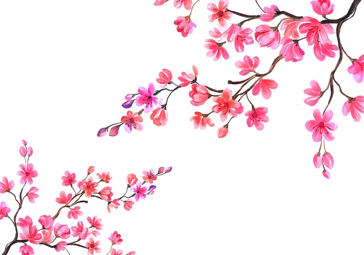 Vector gratuito el fondo de las flores de cerezo