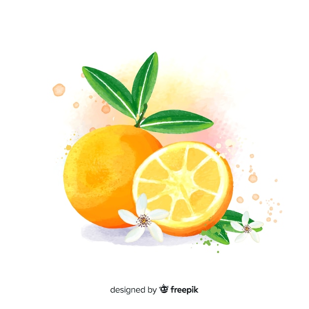 Fondo de fruta en acuarela con naranjas