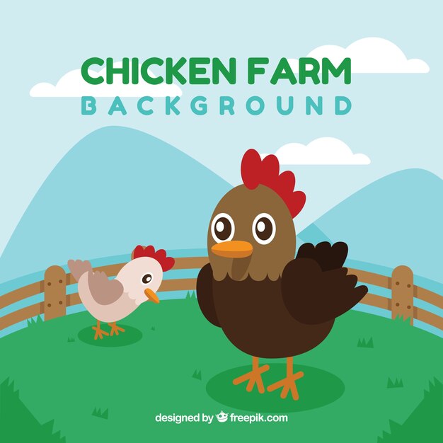 Fondo de gallina con pollito 