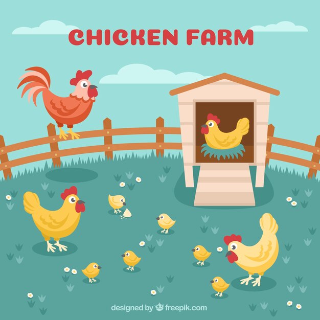 Fondo de gallinas en el corral 