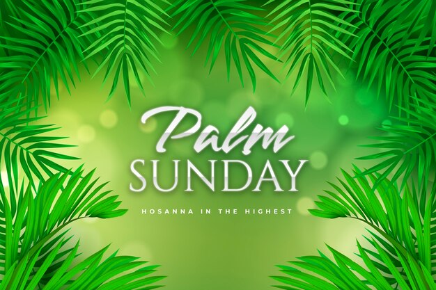 El fondo de gradiente para el domingo de palma.