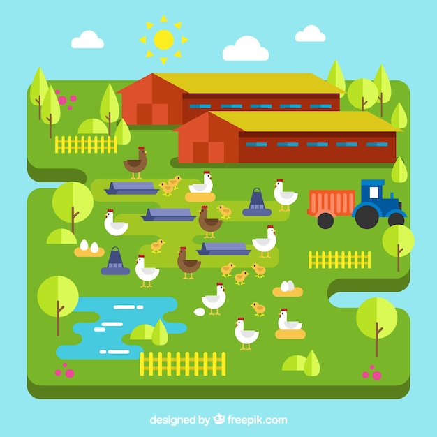 Vector gratuito fondo de granja en diseño plano con gallinas