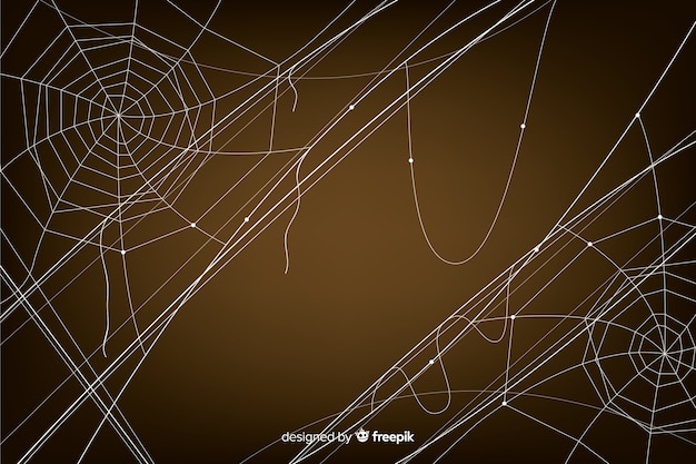 Vector gratuito fondo de halloween con telaraña