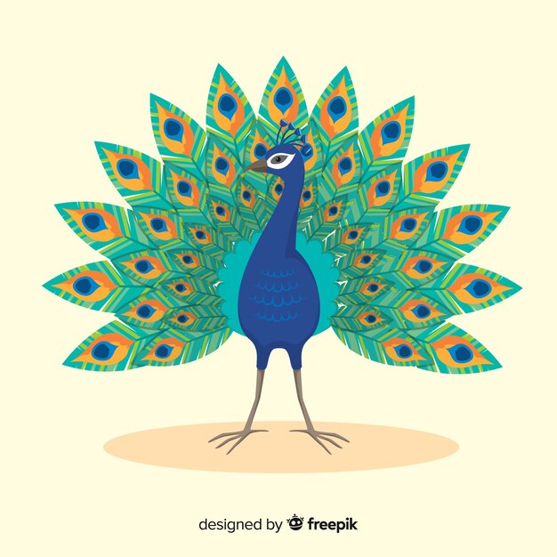 Fondo con hermoso pavo real
