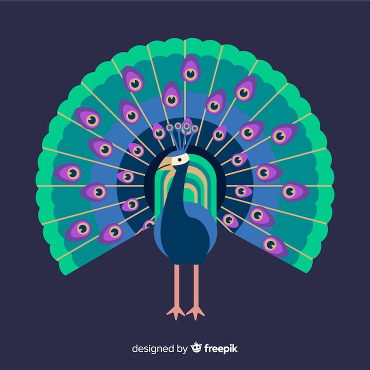 Vector gratuito fondo con hermoso pavo real