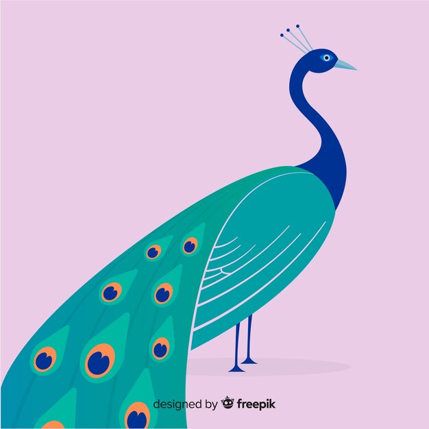 Fondo con hermoso pavo real