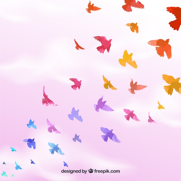 Fondo con hermosos pájaros flat