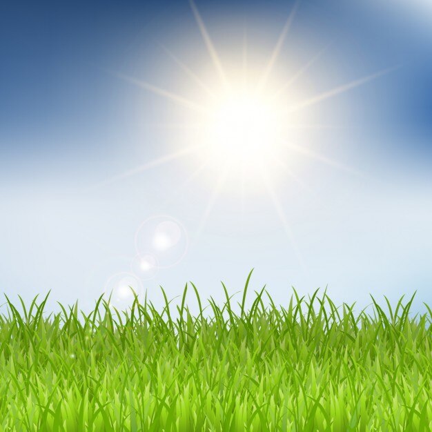 Vector gratuito fondo de hierba y rayos de sol