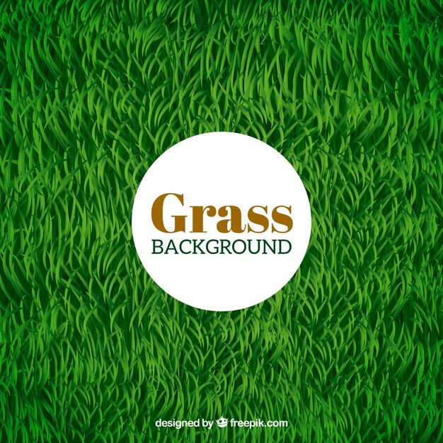 Fondo de hierba verde en diseño realista